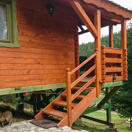 Cabana Casa Craita Zărneşti Dış mekan fotoğraf