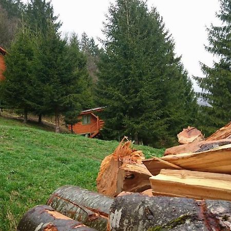 Cabana Casa Craita Zărneşti Dış mekan fotoğraf