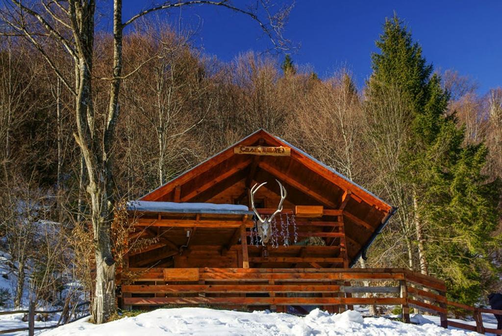 Cabana Casa Craita Zărneşti Oda fotoğraf