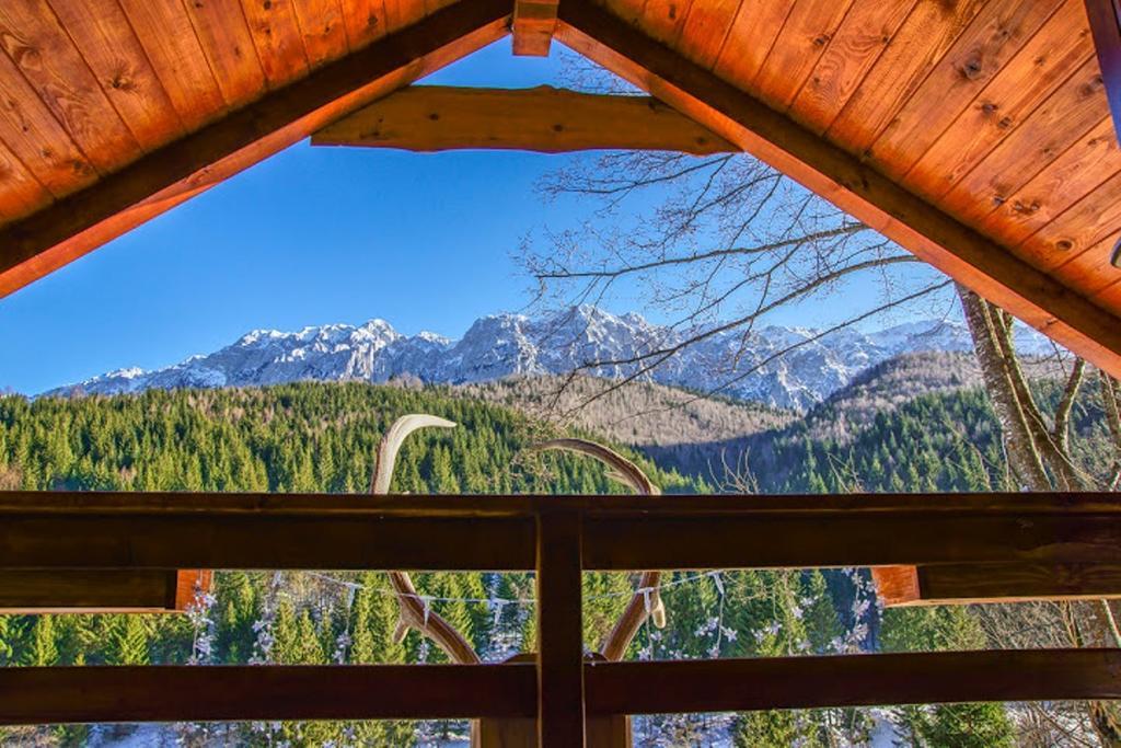 Cabana Casa Craita Zărneşti Oda fotoğraf
