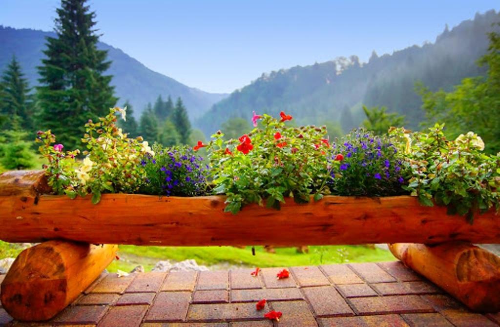 Cabana Casa Craita Zărneşti Oda fotoğraf