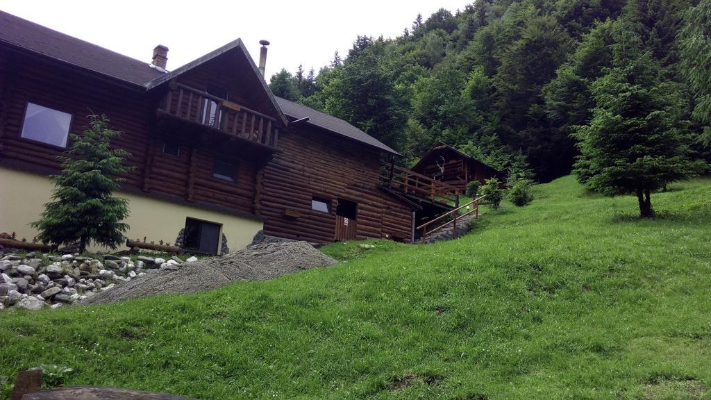 Cabana Casa Craita Zărneşti Dış mekan fotoğraf
