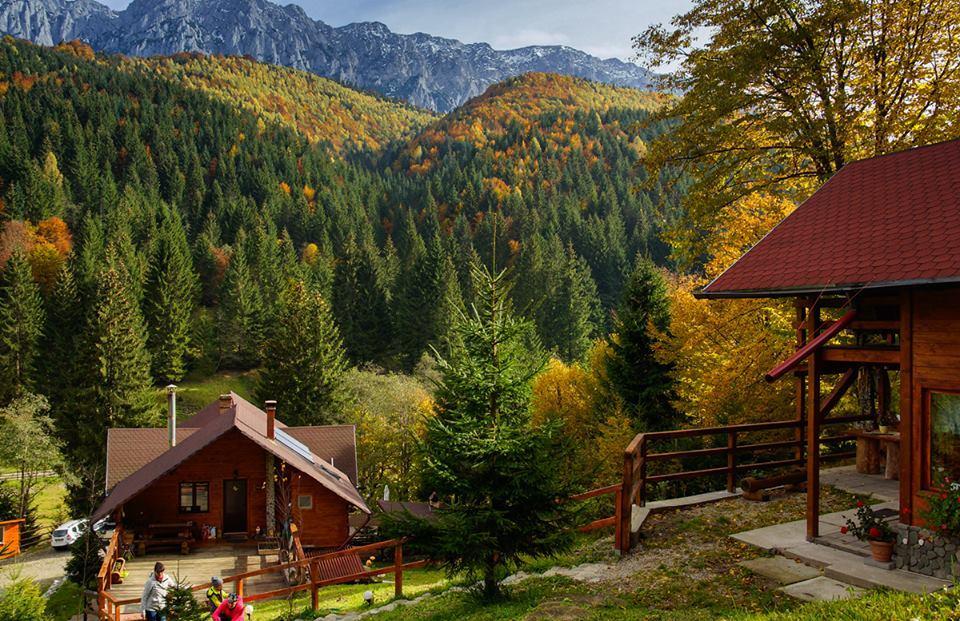 Cabana Casa Craita Zărneşti Dış mekan fotoğraf