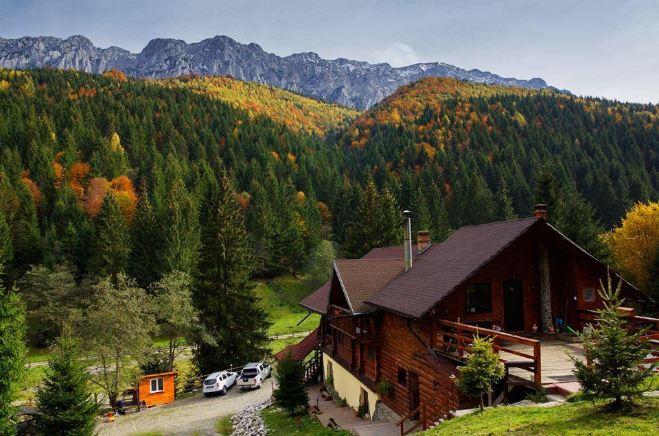 Cabana Casa Craita Zărneşti Dış mekan fotoğraf
