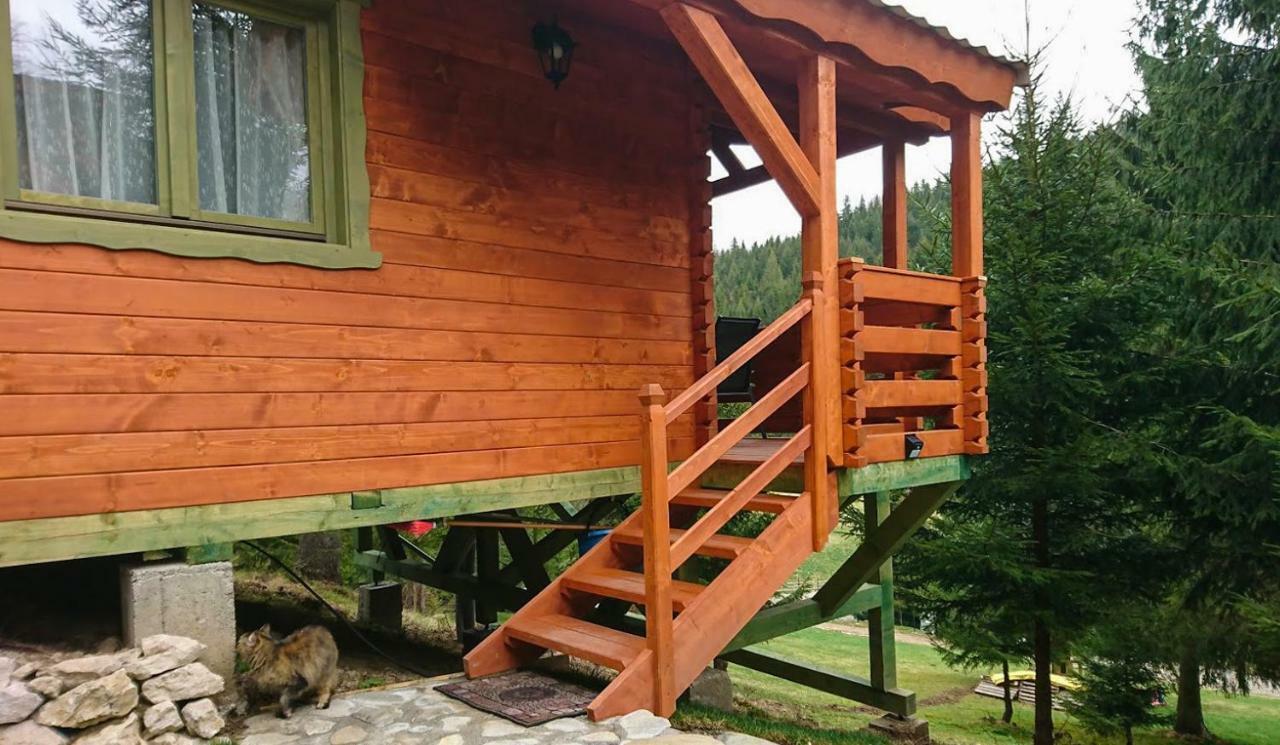 Cabana Casa Craita Zărneşti Dış mekan fotoğraf