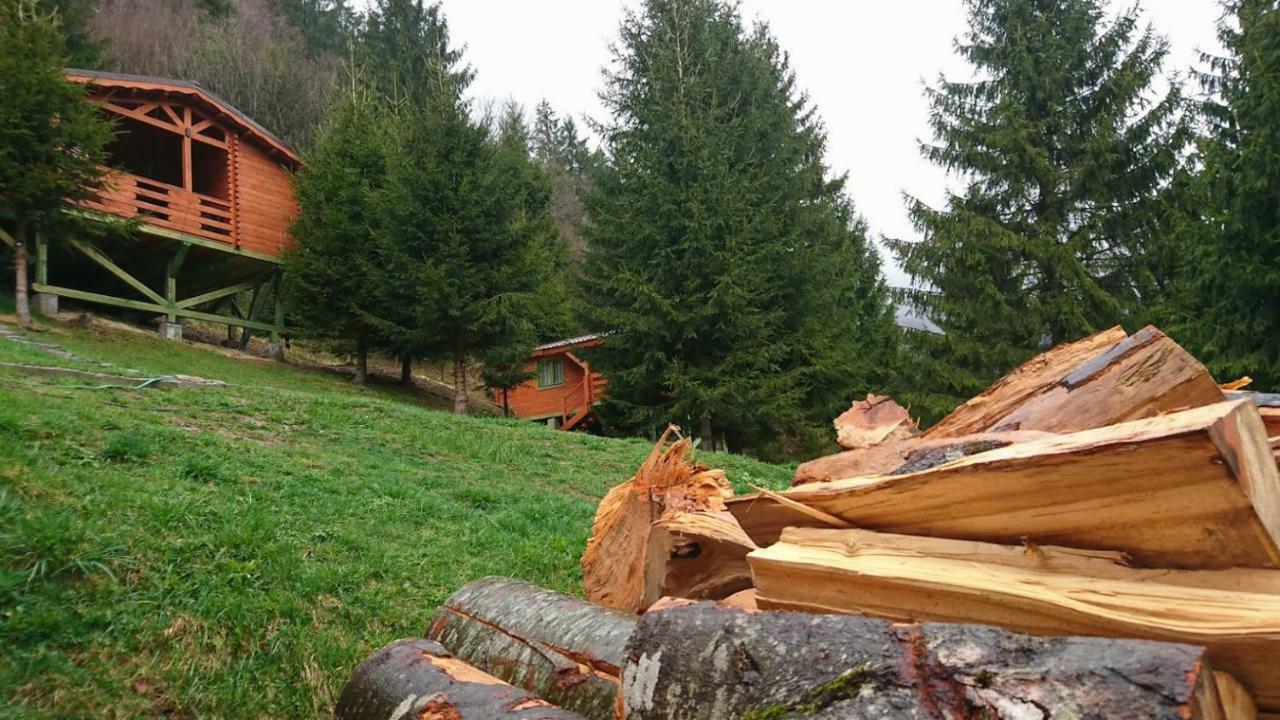 Cabana Casa Craita Zărneşti Dış mekan fotoğraf