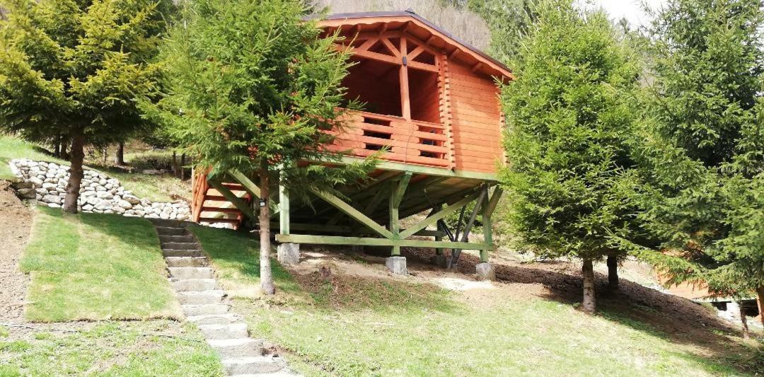 Cabana Casa Craita Zărneşti Dış mekan fotoğraf